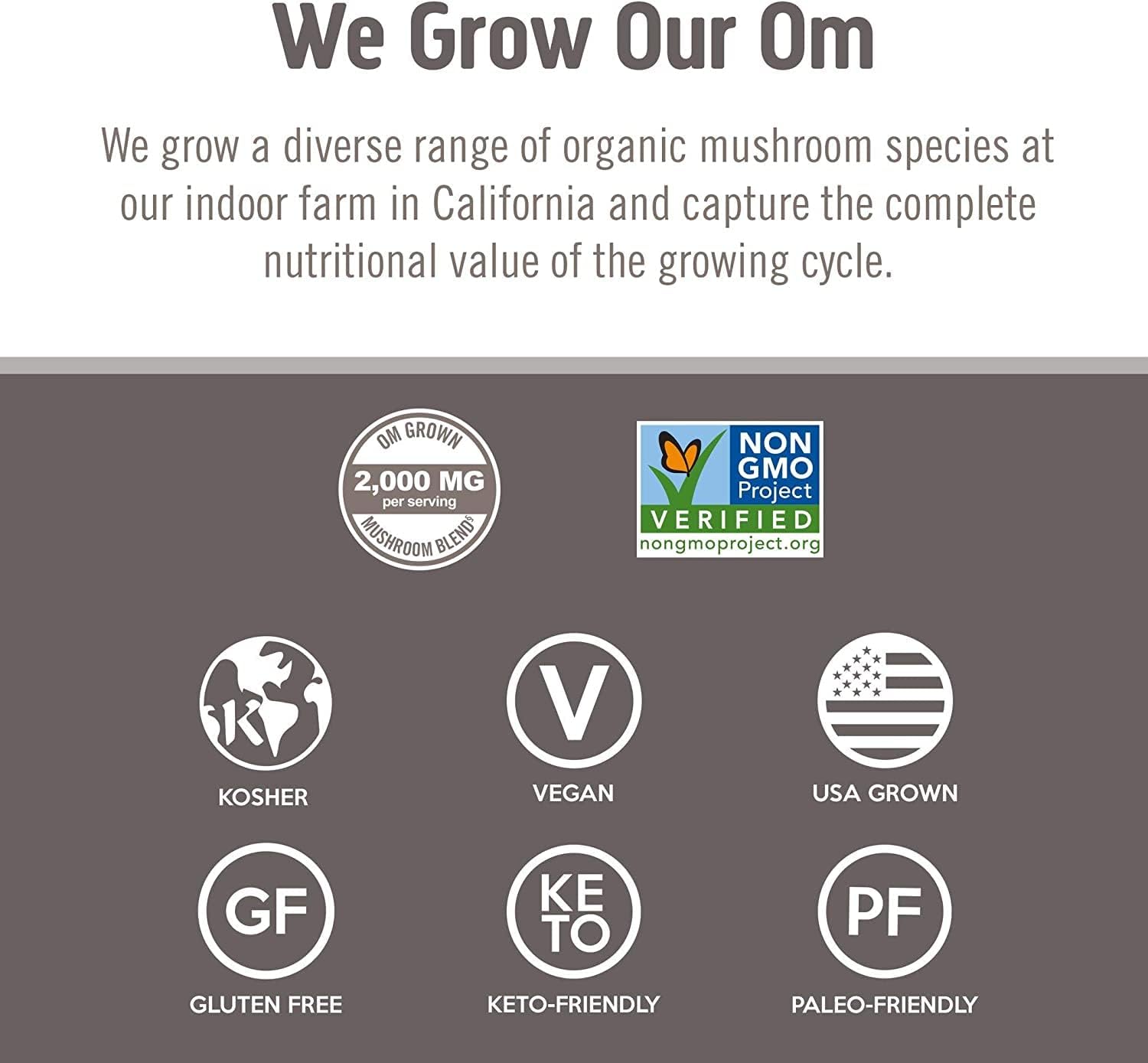 OM Mushroom Superfood - Chaga Certified Organic Mushroom Powder - 60g