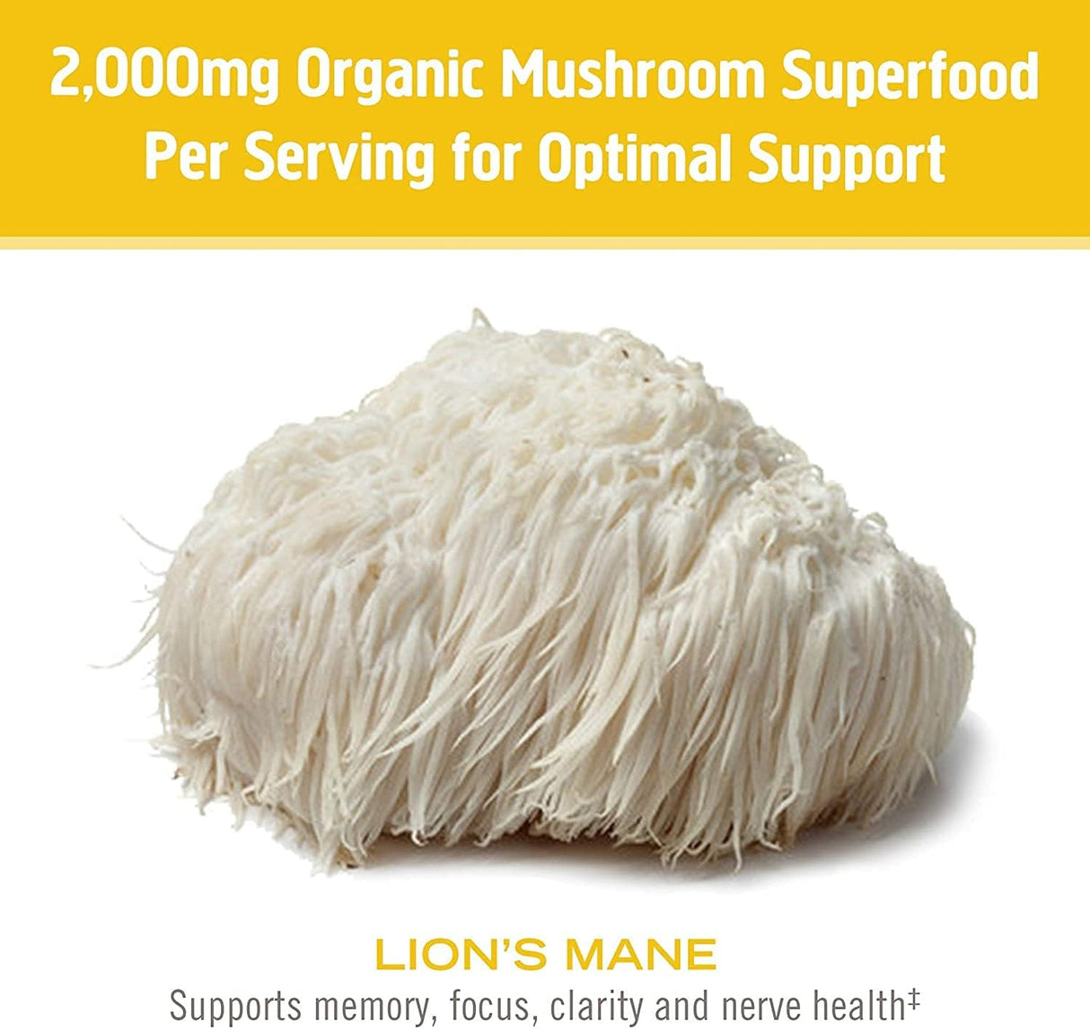 OM Mushroom Superfood - Poudre de champignon bio certifiée Crinière de lion - 60 g