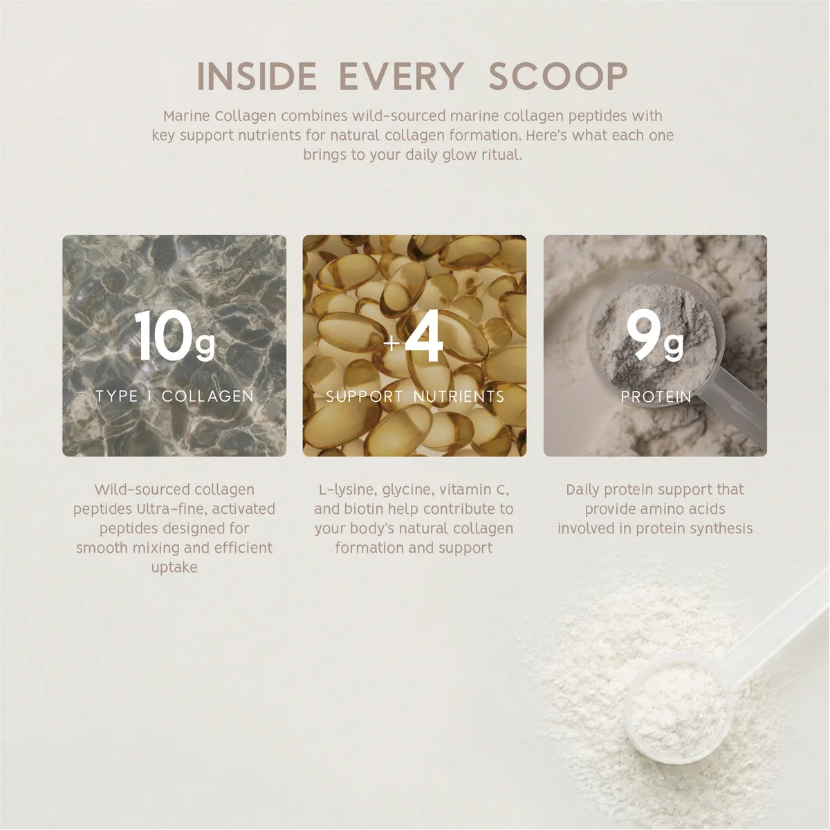 Collagène marin North Coast Naturals 250 g