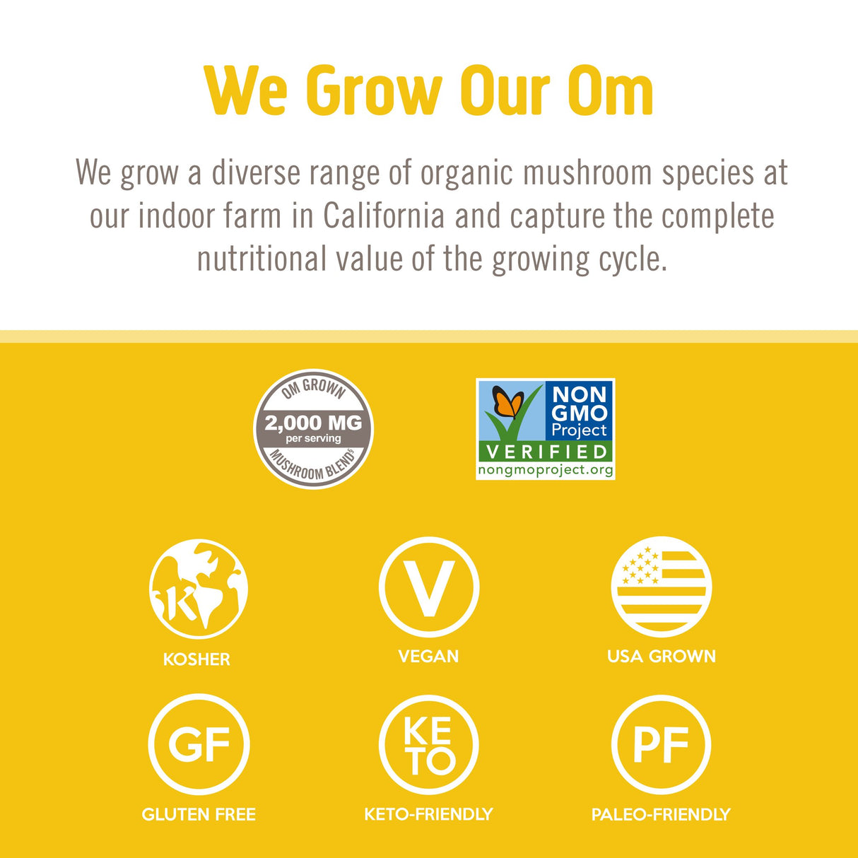 OM Mushroom Superfood - Lion's Mane Mushroom Superfood Daily Boost Capsules - 75Vcaps