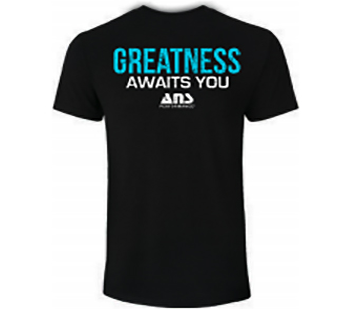 Ans Performance T-Shirt Prophecy Grey