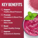 Force Factor - Total Beets - 210g