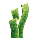 Close-up of Joyride Sour Green Apple Strips, chewy sour candy strips coated in sugar