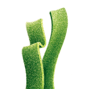 Close-up of Joyride Sour Green Apple Strips, chewy sour candy strips coated in sugar