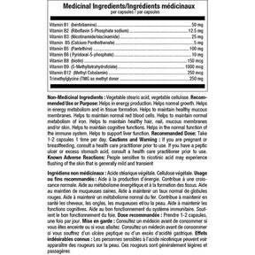 ATP Lab Methyl Syner-B 60 VCaps