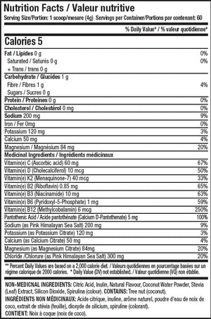 Ans Performance - VION+ Hydration - 60 serving