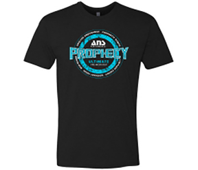 Ans Performance T-Shirt Prophecy Grey