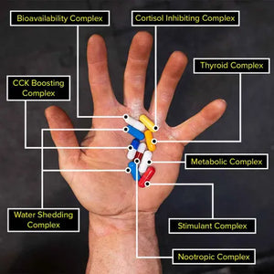 Universal Nutrition Morceaux pour Animaux, paquet de 42