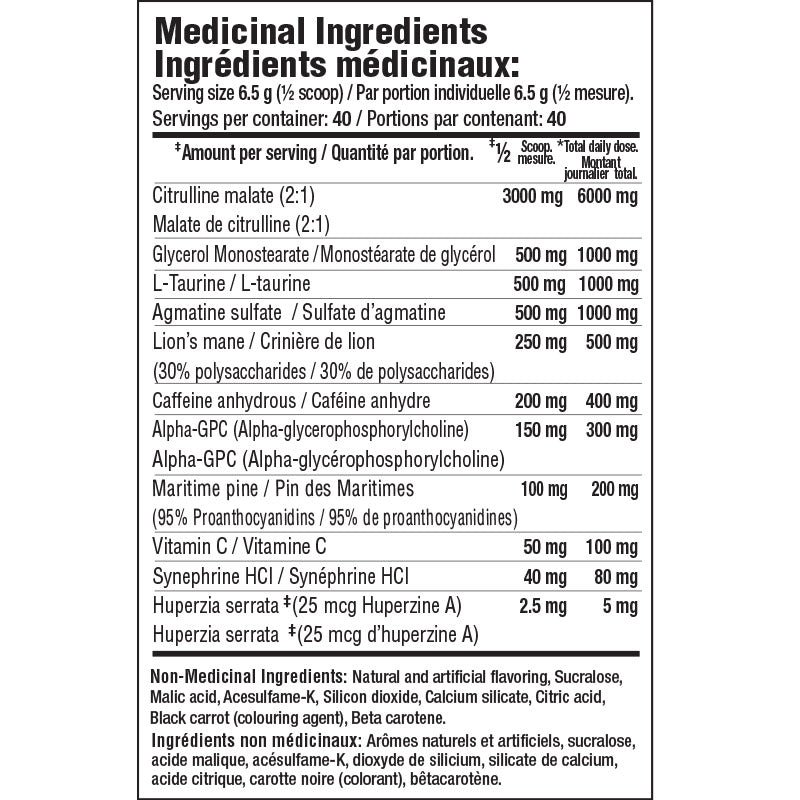 Mammoth Shock 40 portions